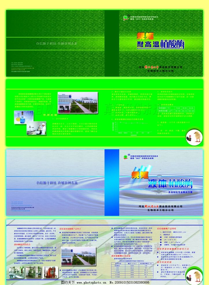 【設計攻略】植酸梅產(chǎn)品冊子與廣告設計全解析
